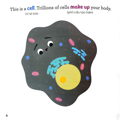 Luyện Đọc Tiếng Anh, Phát Triển Từ Vựng - Nhà Sinh Hóa Tương Lai - RNA - Những Siêu Anh Hùng Của Cơ Thể