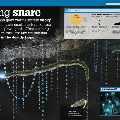 The Science Of Goo!: From Saliva And Slime To Frogspawn And Fungus
