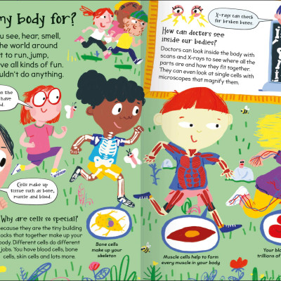 Curious Questions & Answers About My Body