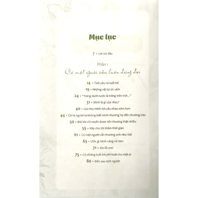 Thanh Xuân Ấy Tôi Đã Thương Một Người