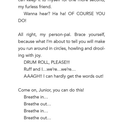 Dog Diaries 3: Mission Impawsible: A Middle School Story