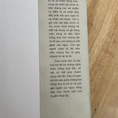 Sách - Hoa Tuylip đen - Sách Văn Học - Tiểu Thuyết Tình Yêu- 2H Books