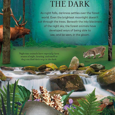 Through The Night Sky: A Collection Of Amazing Adventures Under The Stars