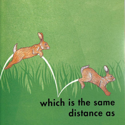 How Far Can A Kangaroo Jump?