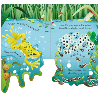 Lift The Flap Spotty Frog