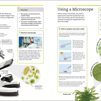 Biology: The Ultimate Bitesize Study Guide (Supersimple)