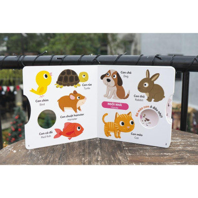 Sách - Xoay, xoay, xoay - Đi tìm . . . - Sách tương tác cho trẻ 0 - 6 tuổi - Combo 3 Cuốn - Đinh Tị Books