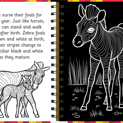Scratch & Draw Animals - Scratch Art Activity Book