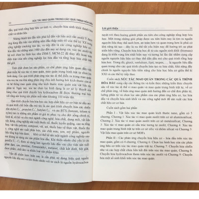 Xúc Tác Mao Quản Trong Quá Trình Hóa Dầu