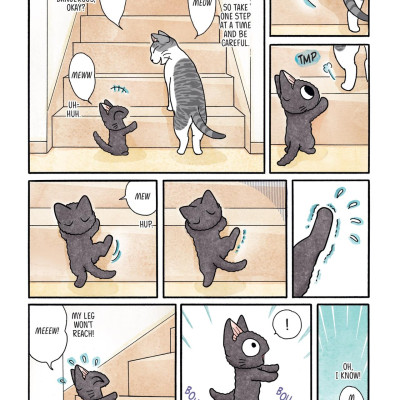 Sue & Tai-chan 3 (Graphic Novels)