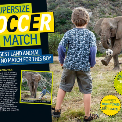 Weird But True!: Ripped From The Headlines 3: Real-Life Stories You Have To Read To Believe