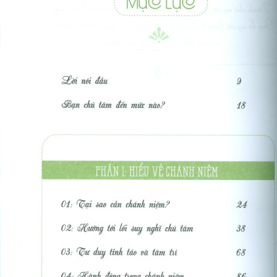 Chánh Niệm Trong Từng Khoảnh Khắc - Sống chánh niệm để Tâm bình Thân an - Rabbi Nilton Bonder; Trung Sơn dịch