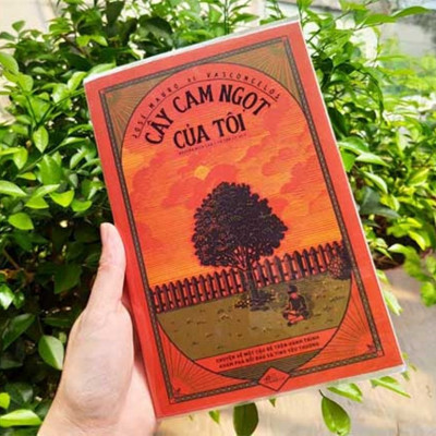 Combo sách văn học Brazil: NHÀ GIẢ KIM (PAULO COELHO) + CÂY CAM NGỌT CỦA TÔI (JOSÉ MAURO DE VASCONCELOS)