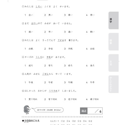 20 Ngày Củng Cố Kiến Thức Nền Tảng N4