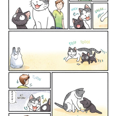 Sue & Tai-chan 3 (Graphic Novels)