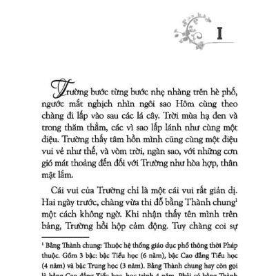 Danh Tác Văn Học Việt Nam - Ngày Mới