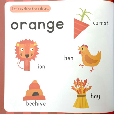 Colours - Activity Book