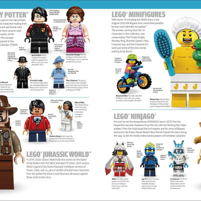 LEGO Minifigure A Visual History New Edition