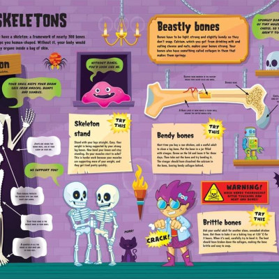 The Human Body (Autumn Activity Packs)