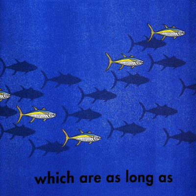 How Long Is A Whale?