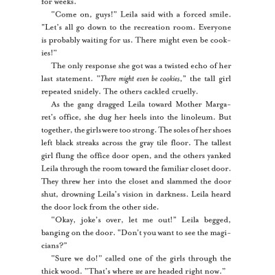 The Magic Misfits Series #2: The Second Story