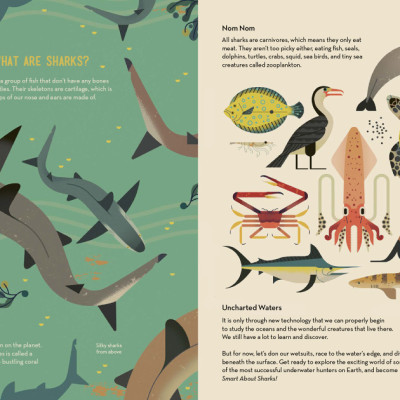 Sách tiếng Anh - Smart About Sharks