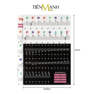 Sticker Dán nốt bàn phím cho Đàn Piano và Organ - Decal đánh dấu vị trí note nhạc dùng cho tất cả Đàn 88, 61, 54, 49 Phím Hàng Chính Hãng - Kèm Móng Gẩy DreamMaker