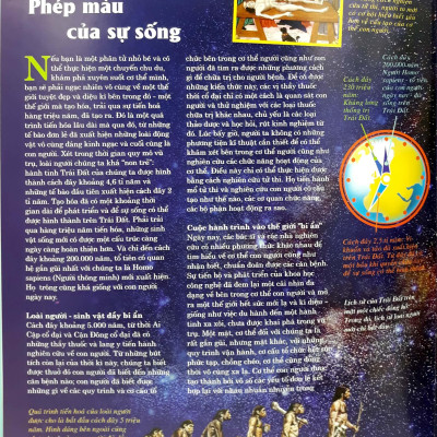 Thế Nào Và Tại Sao - Cơ Thể Người - Tuyệt Tác Của Tạo Hóa - Bìa Cứng (Tái Bản)