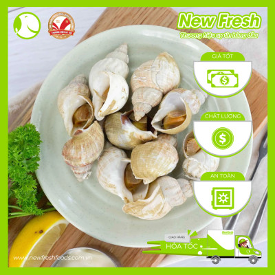 [GIAO NHANH HCM] Ốc Bulot Pháp Đông Lạnh - Túi 1Kg