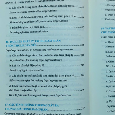 Dẫn Dắt Thỏa Thuận Dàn Xếp Với Người Lao Động - Navigating settlement agreements