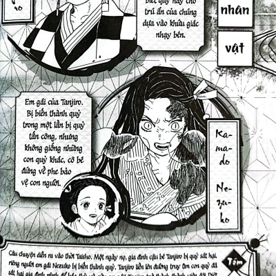 Sách - Thanh Gươm Diệt Quỷ - Kimetsu No Yaiba - Tập 23 - Vượt Qua Tháng Năm, Sinh Mệnh Tỏa Rạng (Tái Bản 2025)