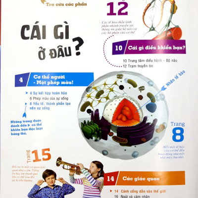 Thế Nào Và Tại Sao - Cơ Thể Người - Tuyệt Tác Của Tạo Hóa - Bìa Cứng (Tái Bản)