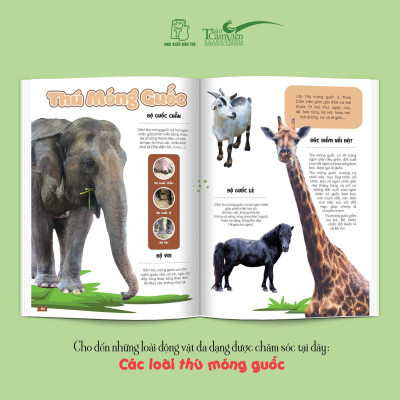 THẢO CẦM VIÊN SÀI GÒN - Kho Báu Trong Lòng Thành Phố (bìa mềm)