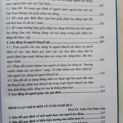 Bình Luận Những Điểm Mới  Của Bộ Luật Lao Động Năm 2019
