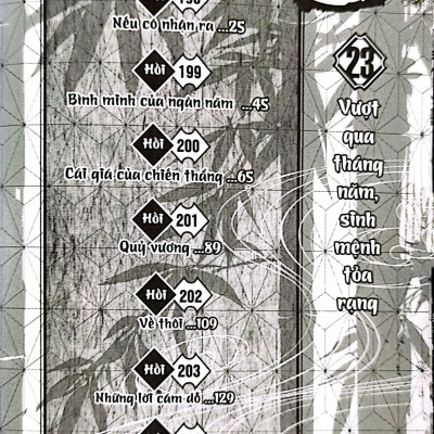 Sách - Thanh Gươm Diệt Quỷ - Kimetsu No Yaiba - Tập 23 - Vượt Qua Tháng Năm, Sinh Mệnh Tỏa Rạng (Tái Bản 2025)