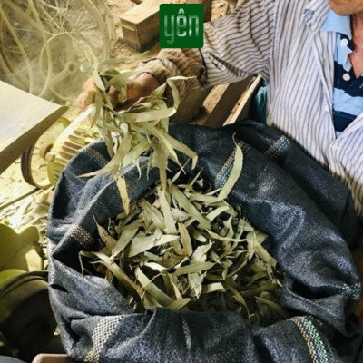 Nhang Thảo Mộc Chung Cư Mix Quế Khuynh Diệp Hương Bài 23cm Hộp 100 Thanh Yên 100 % Tự Nhiên Thờ Cúng