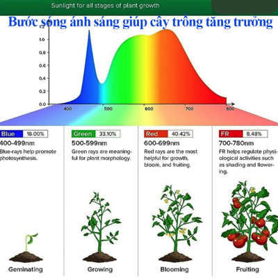 Đèn Trồng Cây Trong Nhà LED Grow 45W (trọn bộ) là Giải Pháp Hoàn Hảo Cho cây trồng trong nhà