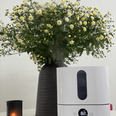 Máy Tạo Ẩm Thụy Sỹ BONECO U250 Công Nghệ Ultrasonic Phun Sương Nano Tạo Độ Ẩm Không Khí, Xông Tinh Dầu Thơm Phòng, Bộ Lọc Nước Khử Khuẩn- Hàng Chính Hãng