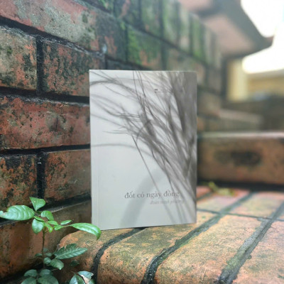 Đốt Cỏ Ngày Đồng