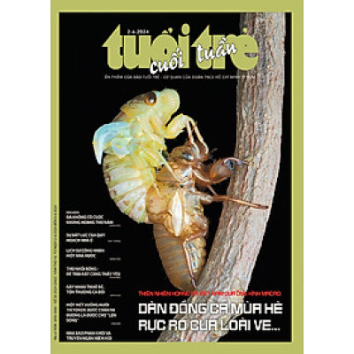 Tuổi Trẻ cuối tuàn số 20 phát hành ngày 2-6-2024