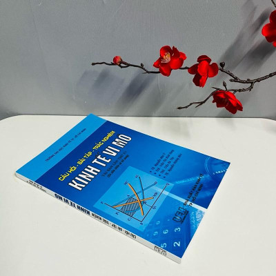 Sách - Câu Hỏi - Bài Tập - Trắc Nghiệm Kinh Tế Vi Mô (Trường ĐH Kinh Tế TP. Hồ Chí Minh)