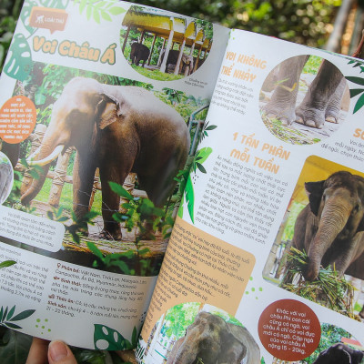 THẢO CẦM VIÊN SÀI GÒN - Kho Báu Trong Lòng Thành Phố (bìa mềm)