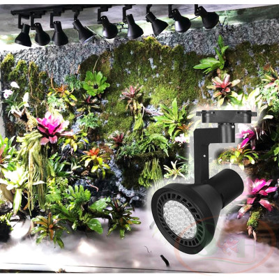 Đèn rọi ray Week WRG Rainforest Light Y series Y30, Y35 bể thủy sinh tiểu cảnh bán cạn biotop