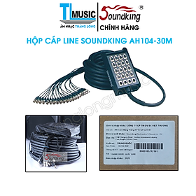 HỘP CÁP 16 LINE SOUNDKING AH104-30M - Hàng Chính Hãng
