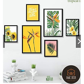 SET 6 TRANH TREO TƯỜNG TROPICAL ĐÃ CÓ KHUNG