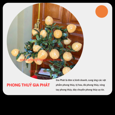 Cây đào phong thuỷ đá ngọc hoàng long 18 quả, quả to|phongthuygiaphat