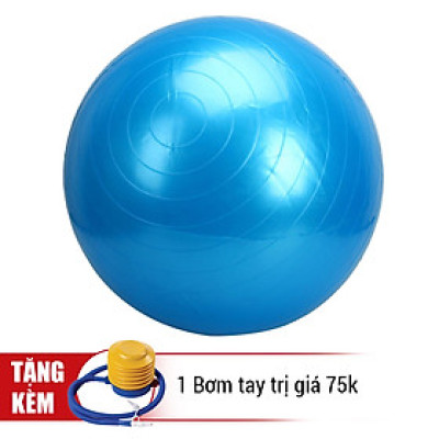 Bóng Tập Yoga Da Trơn Đại Nam Sport DNS75T (75cm) + Tặng Kèm Bơm