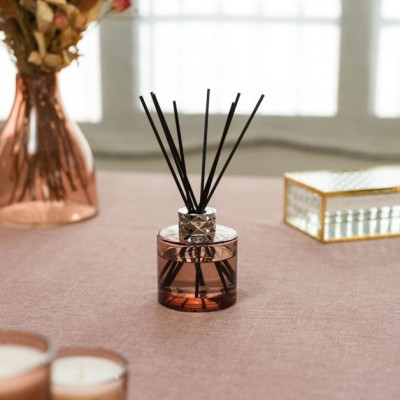 Maison Berger - Lọ tinh dầu khuếch tán hương Agaves Garden Joy - 180ml