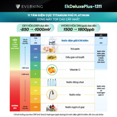 Máy Lọc Nước Điện Giải iON Kiềm EVERKING EKDeluxePlus-1311 - Hàng Chính Hãng