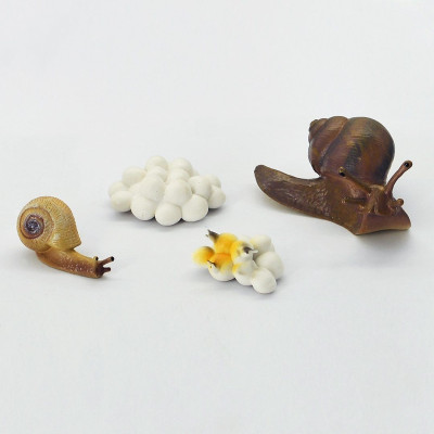 Đồ Chơi Duka: Vòng Đời Tự Nhiên - Khám Phá Môi Trường